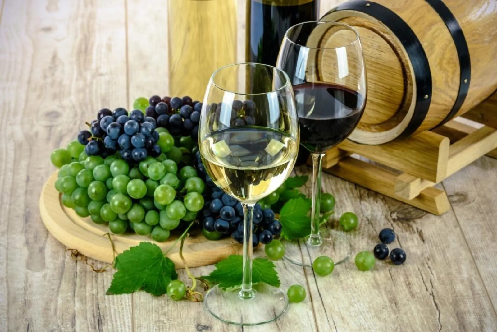 Cave à vin